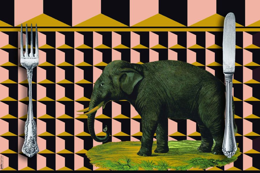 set tovagliette americane rettangolare Elefante - PINK MARTINI