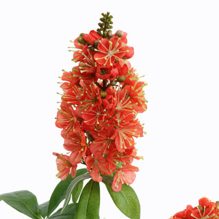 FIORE ARTIFICIALE RAMO FIORITO COL. CORALLO ARANCIO 95 CM SETA