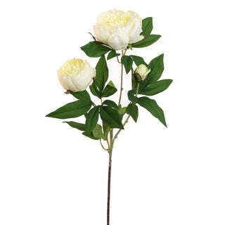 FIORE ARTIFICIALE PEONIA COL. CREMA 70 CM SETA