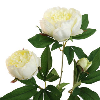 FIORE ARTIFICIALE PEONIA COL. CREMA 70 CM SETA